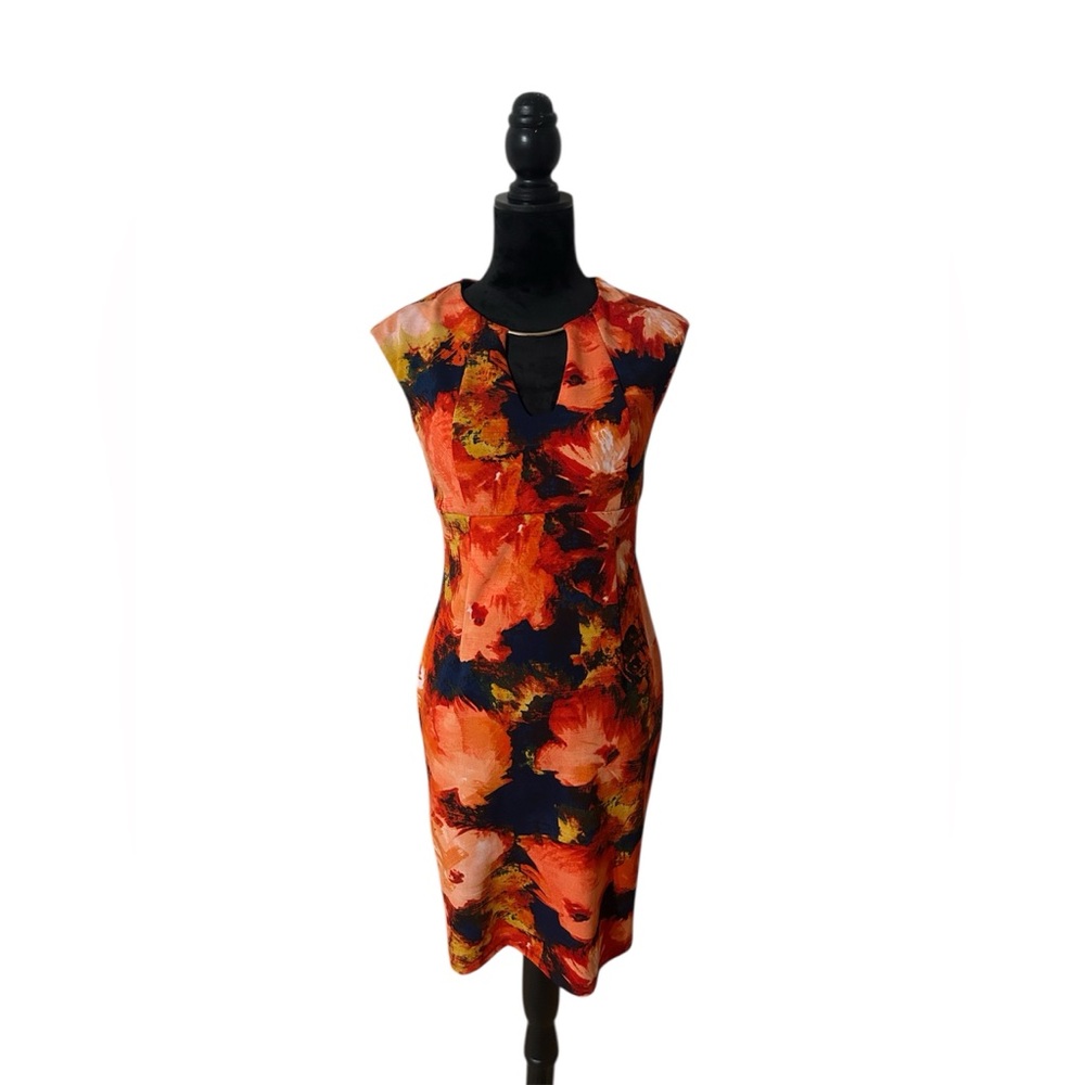 Enfocus Studio Floral Sleeveless Dress Size 4